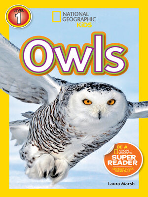 cover image of Owls (National Geographic Kids Readers, Level 1)